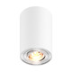 Rondoo white - Zuma Line - lampa sufitowa nowoczesna - 45519 - tanio - promocja - sklep Zuma Line 45519 online