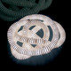 Boalum L200 biały - Artemide - lampa biurkowa -0027110A - tanio - promocja - sklep Artemide 0027110A online