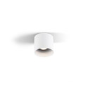 Ray LED 1.0 biały - Wever & Ducré - spot
